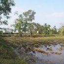 인성정미소 이미지