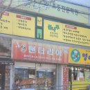 팬더리아 이미지