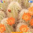 (주)모빌탑 이미지