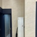 키놀키즈 이미지