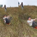 두미목장 이미지