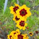 웰라이프 코칭 이미지