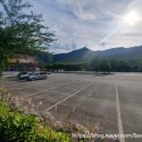 싱그러운청도로(여름) 이미지