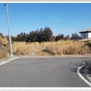 동광리-6 이미지