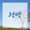 청명행정사 이미지