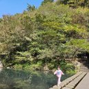 천지연 폭포 | 아이와 제주여행 서귀포 천지연폭포 후기 - 운영시간,입장료,주차,야간조명 정리