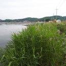 어류정낚시터 이미지