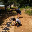 사창농장 이미지