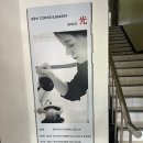 커피광 | 커피광 을지로 명동 조용한 카페추천 내돈내산 솔직후기