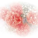 경희누리한의원 이미지