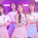 유민 디스패치