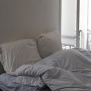 아파리