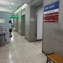 밀레오레 | [동대문/수영복] 발리 신혼여행 수영복 맛집, 동대문 밀레오레 '코코비치' 후기