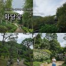 2025 광주 어린이 상상극장 <나무의 아이> | 경기도 광주 화담숲 예약 모노레일 구간 2025가을 성수기 안내 9월 방문 후기