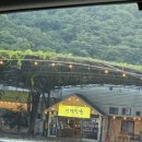 신덕 | [전북 고창] 고창 장어, '신덕식당' 후기