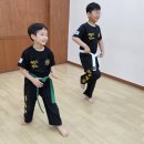 국술원 합기도 이미지