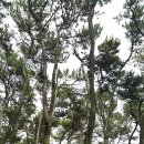 해송공원 이미지