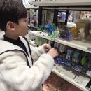 중앙동251 | 아이와 가기 좋은 남포동 놀거리 네모네 롯데백화점 광복점 남포동 소품샵 후기 주차 위치