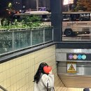 마이호니