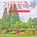경기가축인공수정소 | 경기도 평택 가볼만한곳 2025 경기정원문화박람회 후기 10월 가을 꽃 축제 놀거리