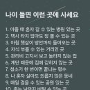 제주가좋다 펌글 이미지