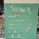 와우애견 | 양평 애견 운동장 뛰어놀개