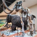 연희사러가 이미지