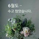 꿈꾸고 춤 춘다...............................................................6/30 이미지