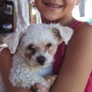 올리브 동물병원 이미지