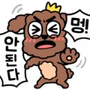 논산더집 네이버블로그