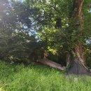 홈실마을회관 이미지