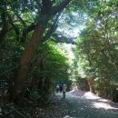 무궁화로 이미지