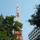1박 3일 도쿄 여행후기 제 4화 - 도쿄 타워 편 이미지