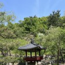 숲 걷기 명상 | 인왕산 둘레길 코스: 수성동계곡, 초소책방, 숲속쉼터, 청운문학도서관, 윤동주문학관까지 걸어가는 법