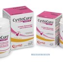 베트컴코리아(주) 이미지