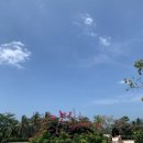 영화동천 이미지