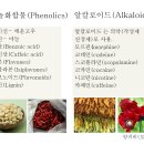 한방살충제 제조- 여수시농업기술센터 실습 이미지