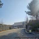 모카트리 | 가평 카페 골든트리 · 남이섬카페 북한강뷰 잔디정원 카페 체험단 후기