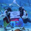 아쿠아리움 이미지