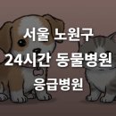 25시 종합동물병원 | [서울 노원구 24시간 동물병원(상계동)] 반려동물 응급상황 대처 가능한 진료소