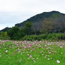 황산공원 이미지