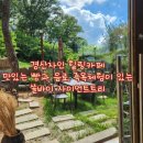[경산 카페] 쏠 바이 자이언트 트리 방문 후기