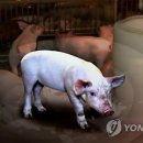 난축산 2농장 이미지