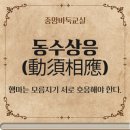 중앙바둑 이미지