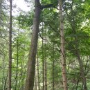 한샘약수터 | 평창 방아다리약수터 후기 올립니다