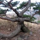 명산100 인증)~쌀바위(인증)~문복산 갈림길(인증)~와(외)항재 / 블랙 야크 기준] 등산 후기(2022. 07. 10.)
