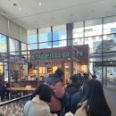 다이소 부평시장역점 | [스타벅스] 핑크 리유저블컵 후기 / 한정 수량 / 받는 꿀팁