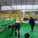 덕산목장 이미지