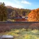 한화호텔앤드리조트 평창 노동조합 | 평창 고랭지 김장축제｜가족의 전통을 다시 버무리는 새로운 김장문화