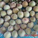 하늘아래첫집 이미지